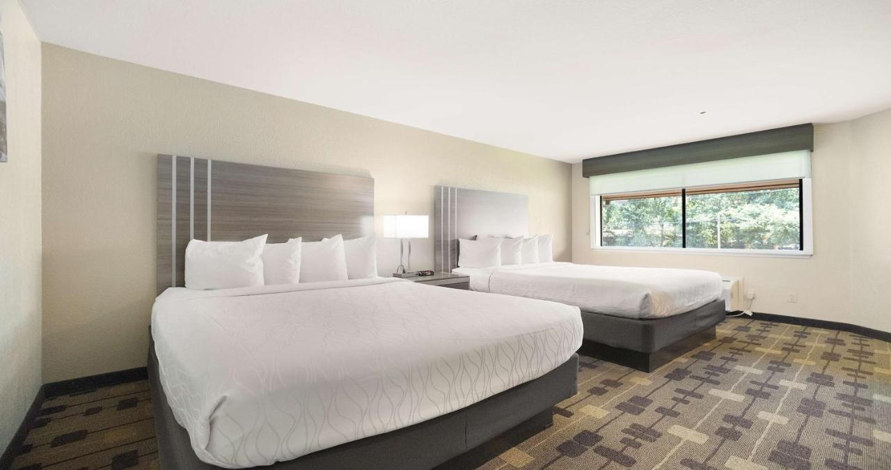 Queen Room with Two Queen Beds with Fireplace at Best Western Amador Inn