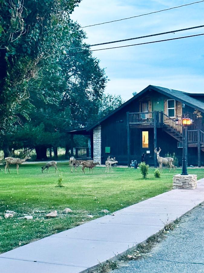 | Moosehead Lodge