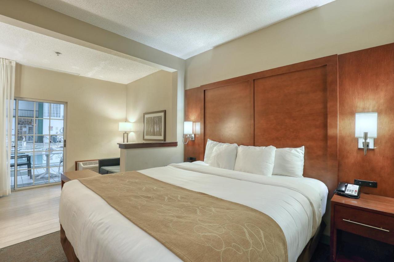 King Suite with Pool View - Non-Smoking at Comfort Suites Appleton Airport