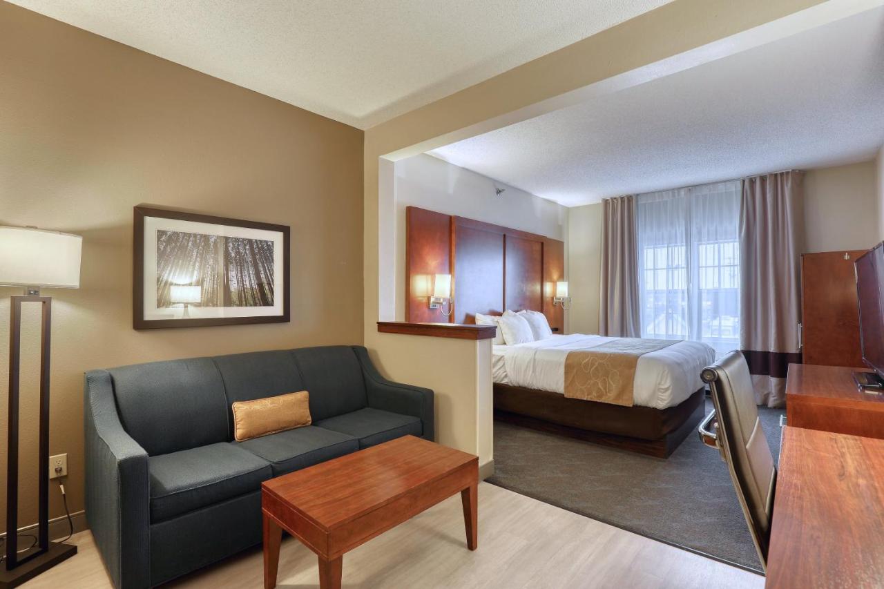 Standard King Suite - Non-Smoking at Comfort Suites Appleton Airport