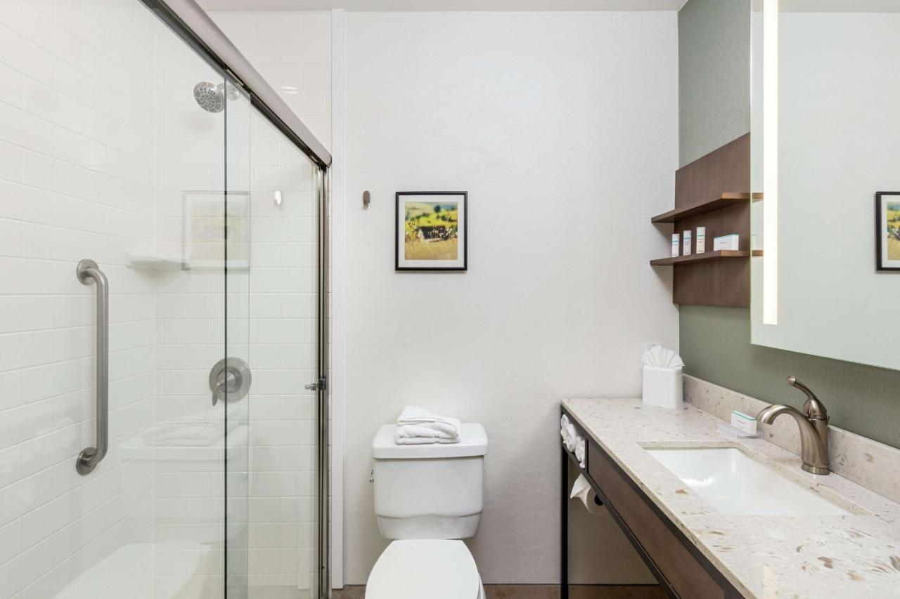 Junior King Suite at Hilton Garden Inn Davis Downtown
