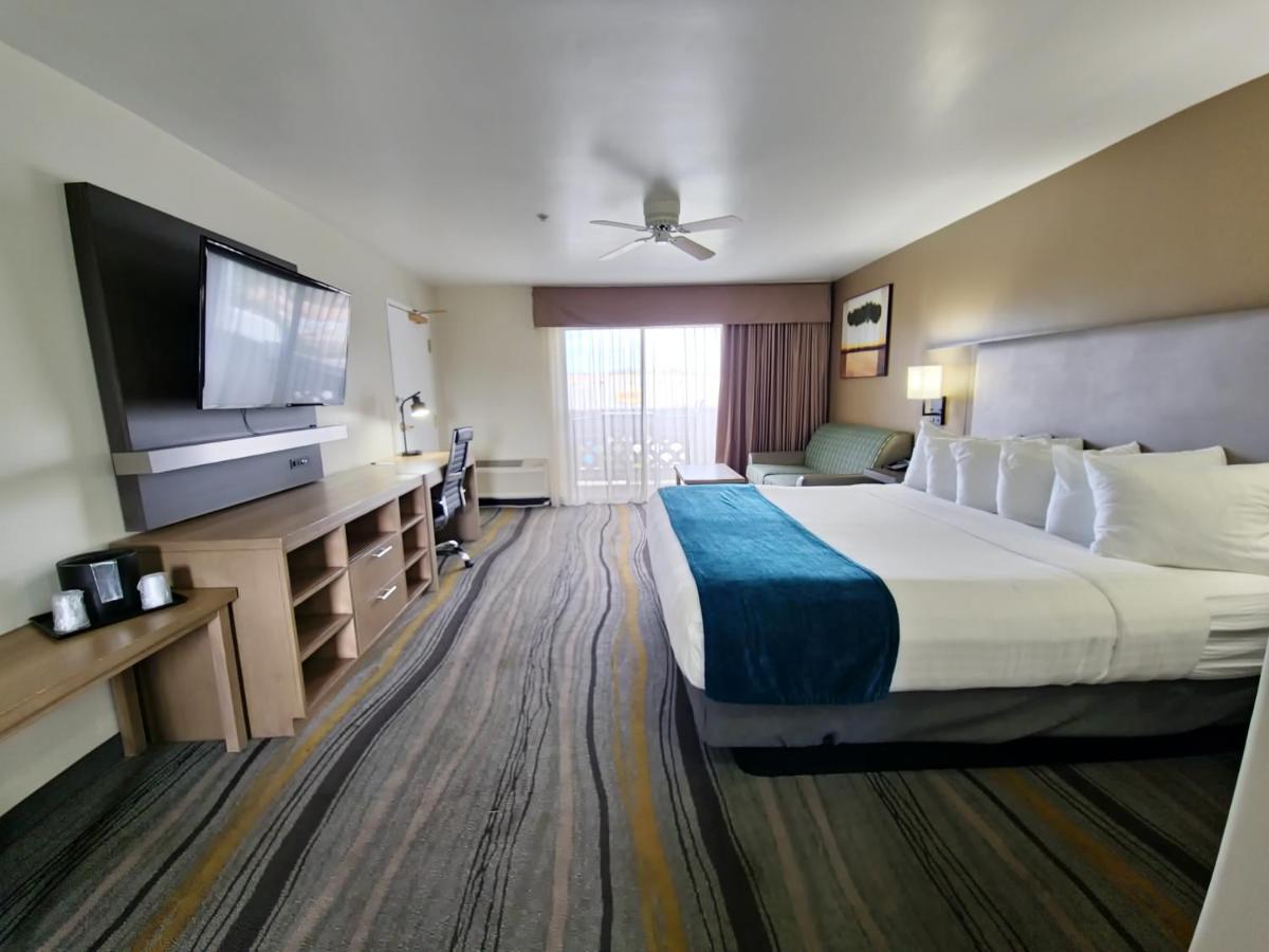 King Room at Los Viajeros Inn