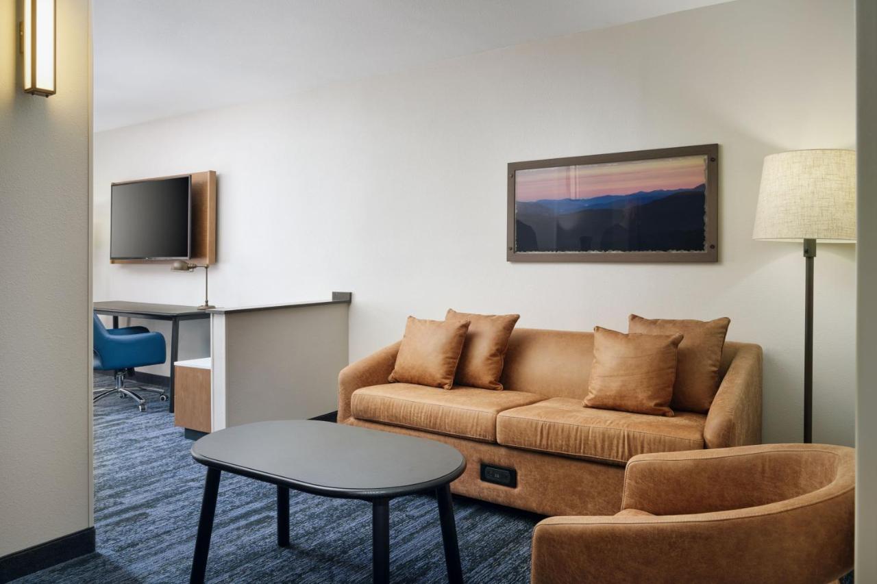 Deluxe King Suite with Sofa Bed at Fairfield Inn & Suites by Marriott Auburn Opelika