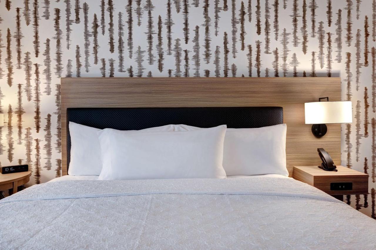 King Studio Suite - Non-Smoking at Home2 Suites by Hilton Blythewood, SC