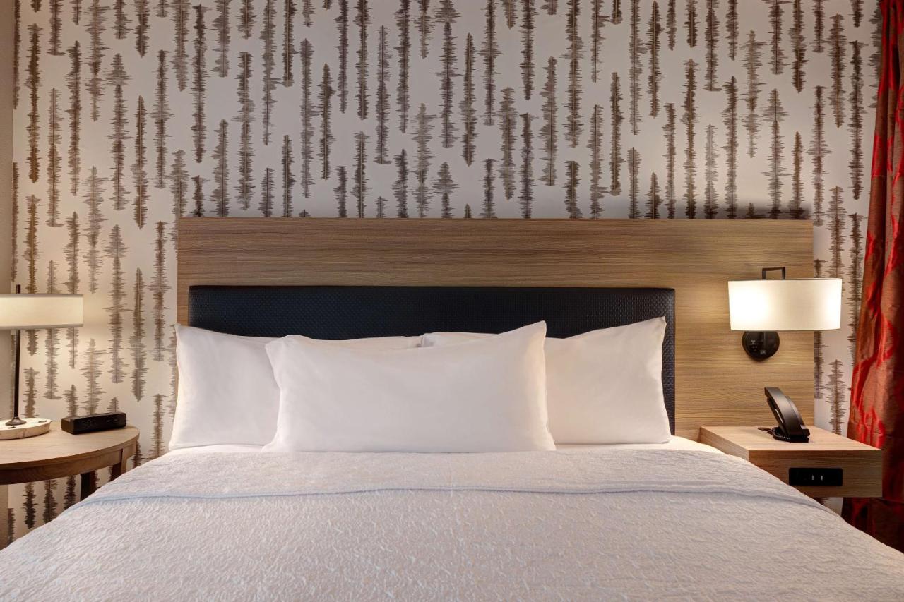 King Studio Suite - Non-Smoking at Home2 Suites by Hilton Blythewood, SC