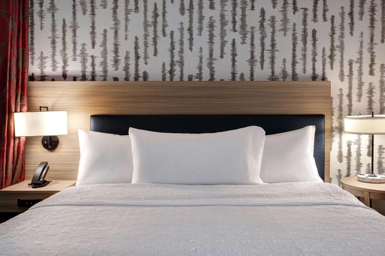 King Studio Suite - Non-Smoking at Home2 Suites by Hilton Blythewood, SC