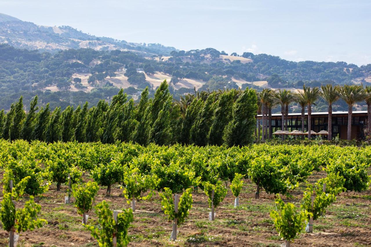 | Homewood Suites Fairfield-Napa Valley Area