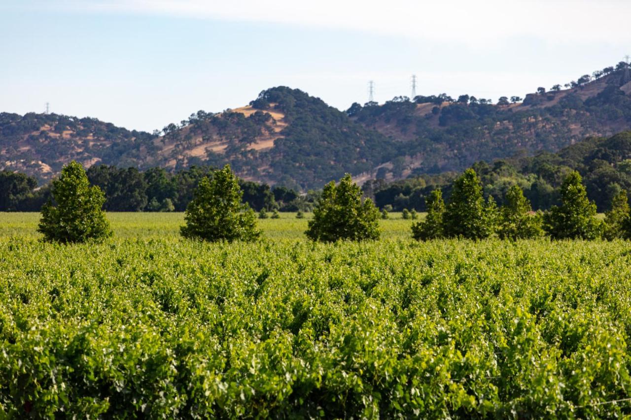 | Homewood Suites Fairfield-Napa Valley Area