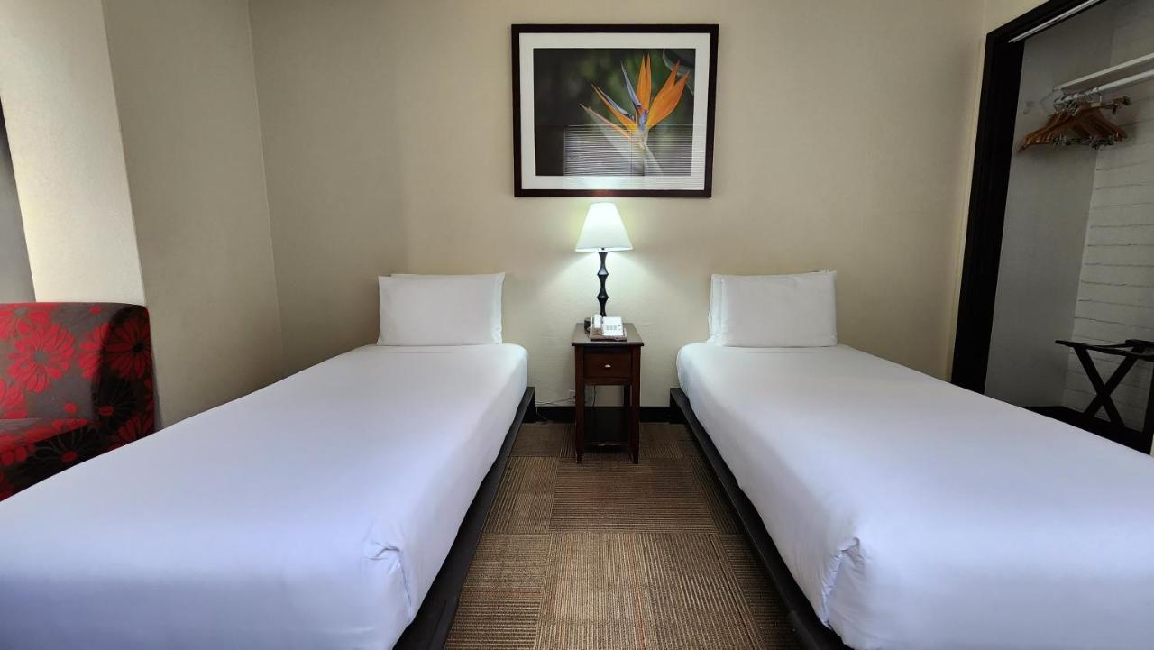 Twin Room with Two Beds at Stay Hotel Waikiki