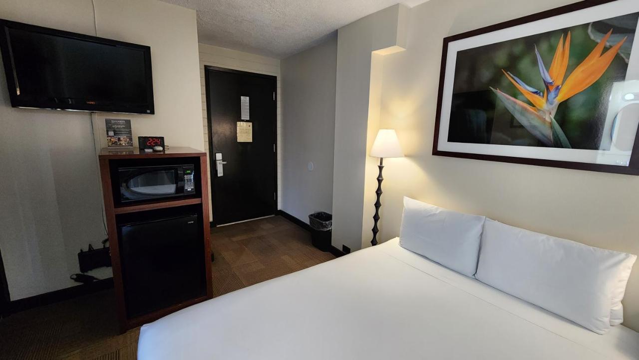 Boutique Queen Room at Stay Hotel Waikiki