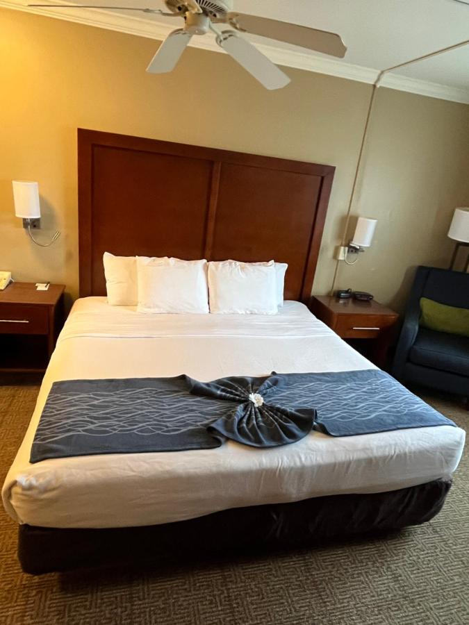 King Room at Comfort Inn & Suites Ocean Shores