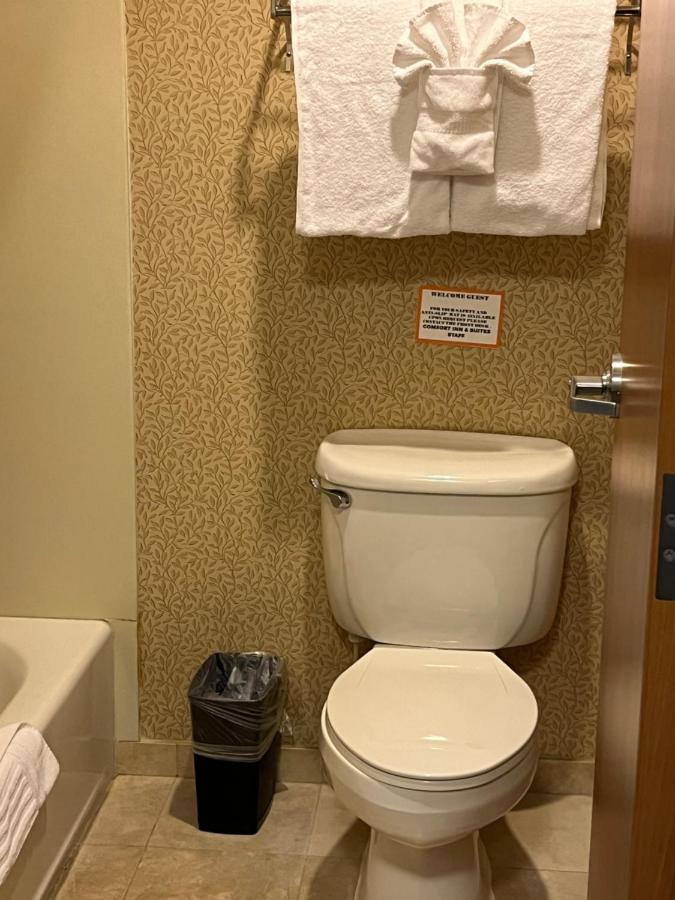 King Room at Comfort Inn & Suites Ocean Shores
