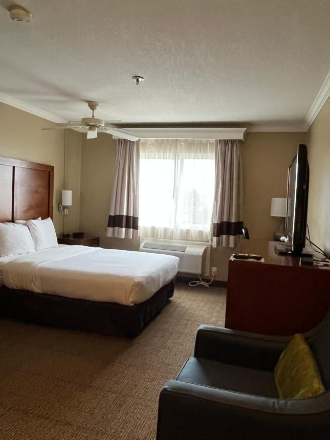 Queen Room at Comfort Inn & Suites Ocean Shores