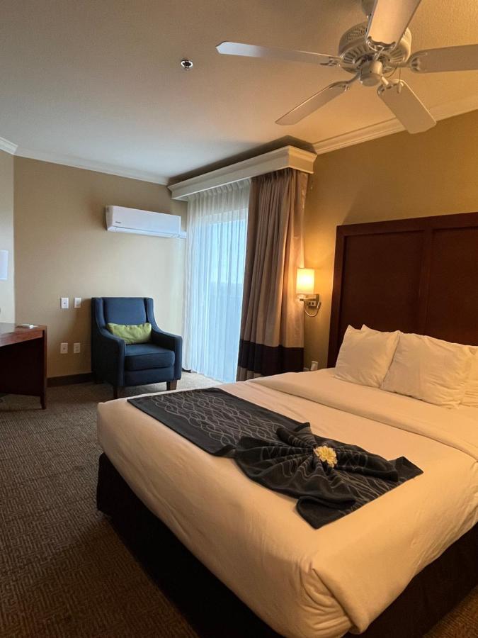 Queen Room - Non-Smoking at Comfort Inn & Suites Ocean Shores