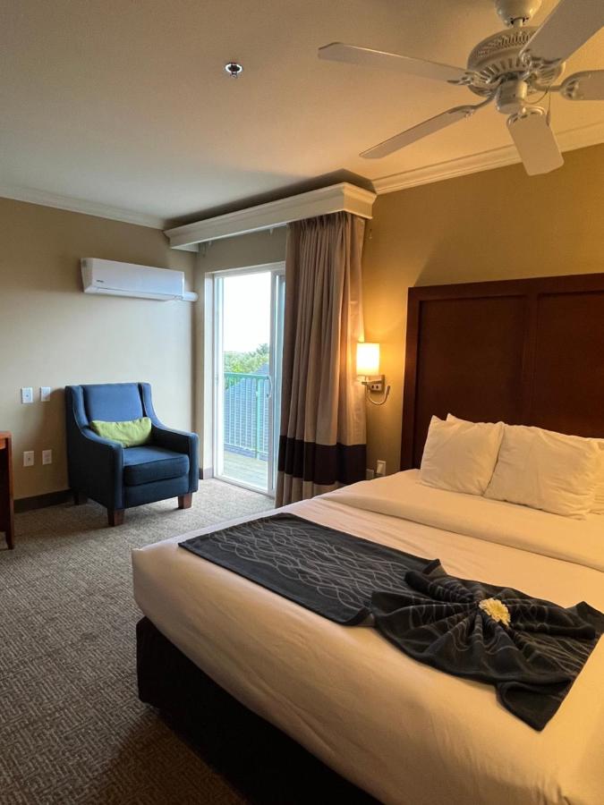 Queen Room - Non-Smoking at Comfort Inn & Suites Ocean Shores
