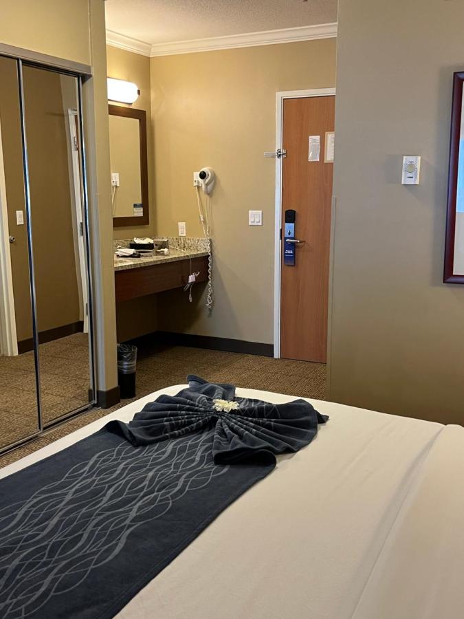 Queen Room with Two Queen Beds at Comfort Inn & Suites Ocean Shores