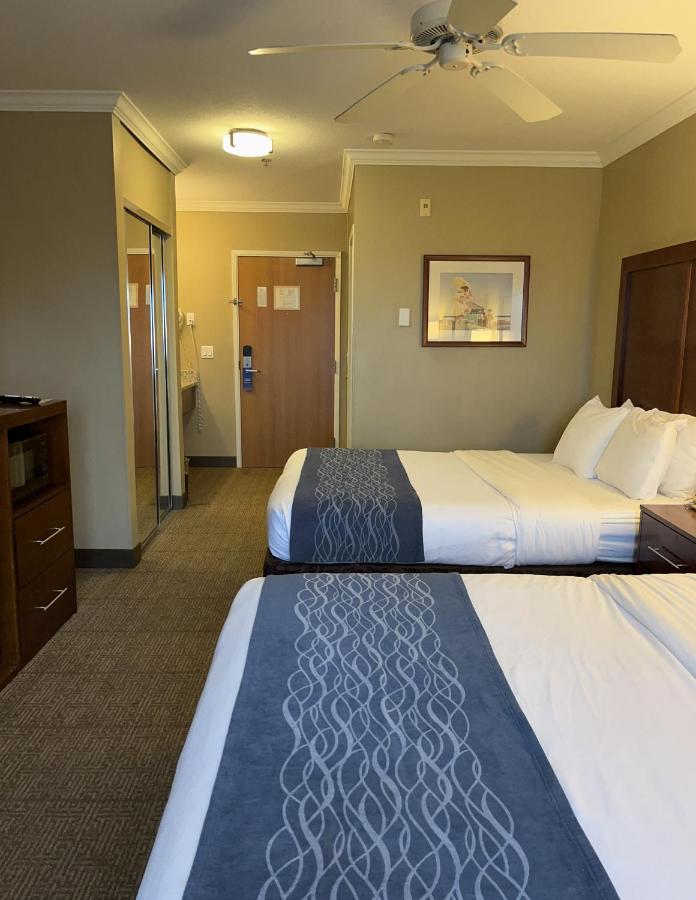 Queen Room with Two Queen Beds at Comfort Inn & Suites Ocean Shores