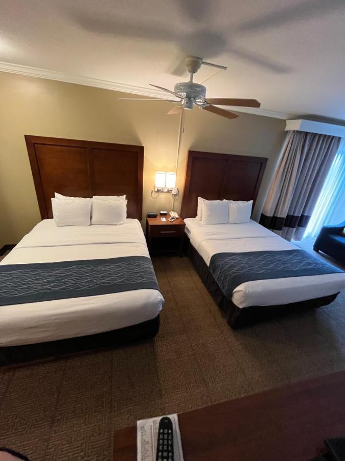Standard Queen Room with Two Queen Beds at Comfort Inn & Suites Ocean Shores
