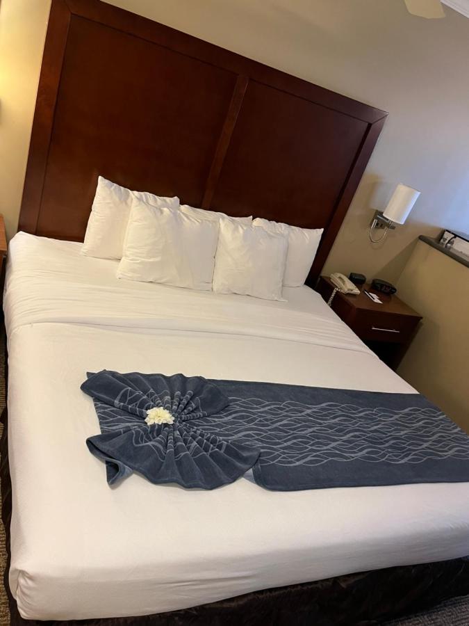 King Suite - Non Smoking at Comfort Inn & Suites Ocean Shores