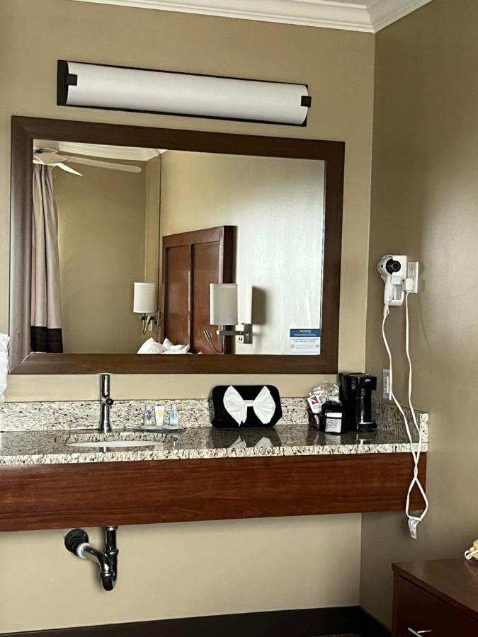 King Room at Comfort Inn & Suites Ocean Shores