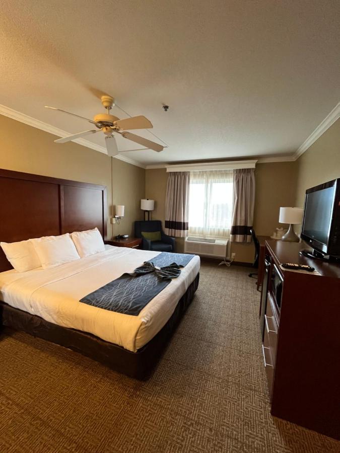 King Room at Comfort Inn & Suites Ocean Shores