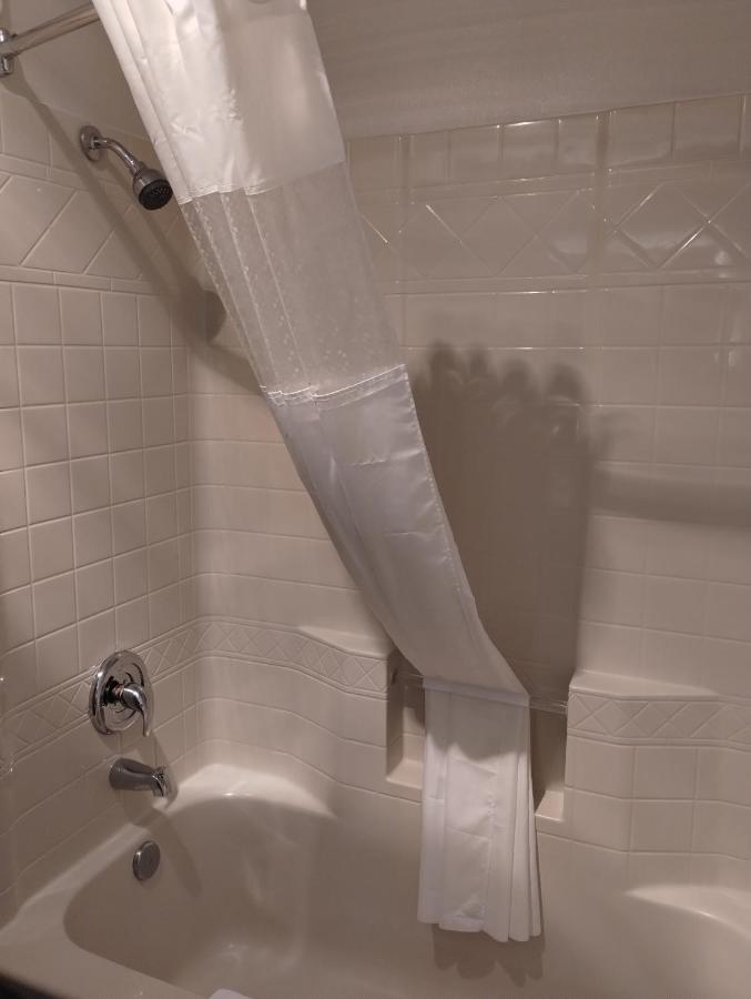 Standard King Room with Sofa Bed - Non Smoking at Quality Inn & Suites Wilsonville
