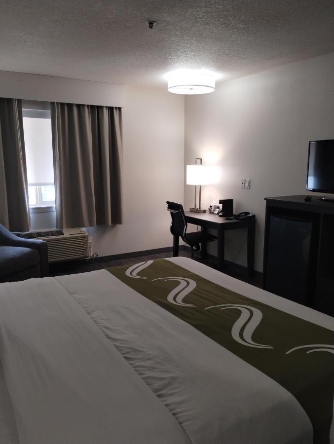Standard King Room - Non Smoking at Quality Inn & Suites Wilsonville