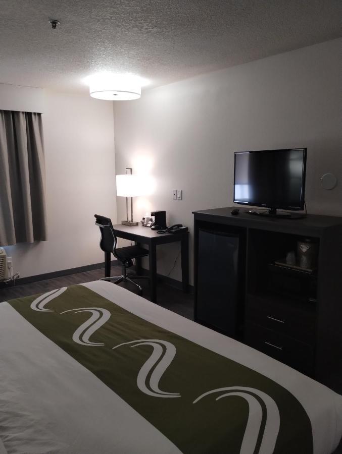 Standard King Room - Non Smoking at Quality Inn & Suites Wilsonville