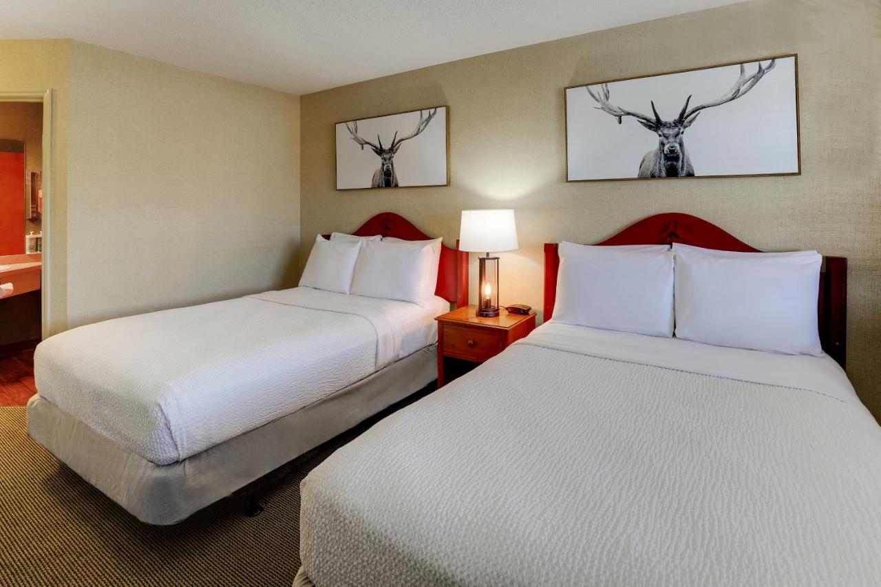 Deluxe Double Room with Two Double Beds at Stoney Creek Inn Galena
