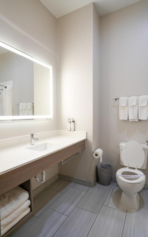 King Suite - Disability Access at Holiday Inn Express & Suites Dallas Southwest-Cedar Hill by IHG