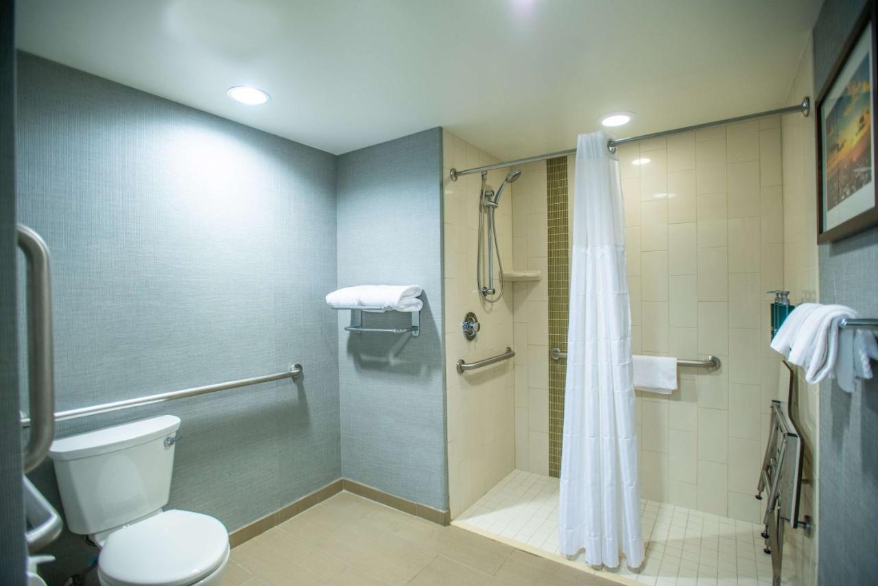 King Room with Roll-In Shower - Mobility/Hearing Access at DoubleTree by Hilton Asheville Downtown