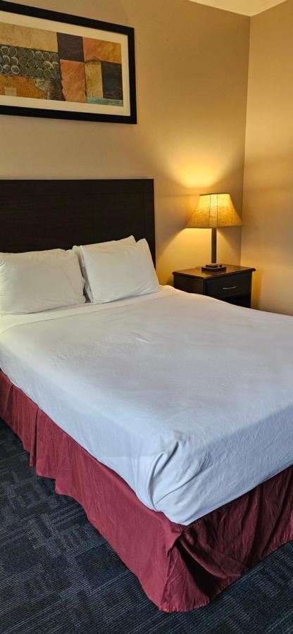 Deluxe Single Room at Bellis Inn