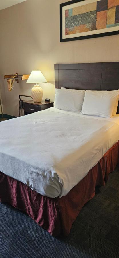 Deluxe Single Room at Bellis Inn