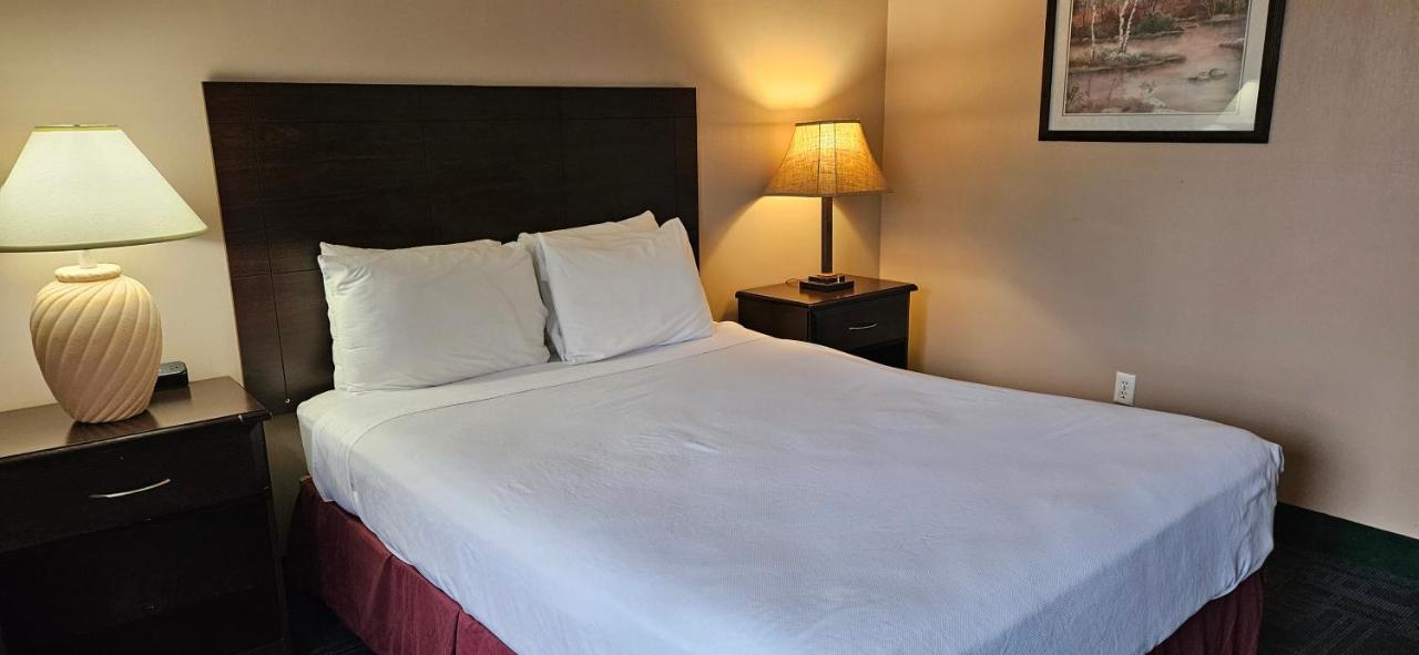 Deluxe Single Room at Bellis Inn