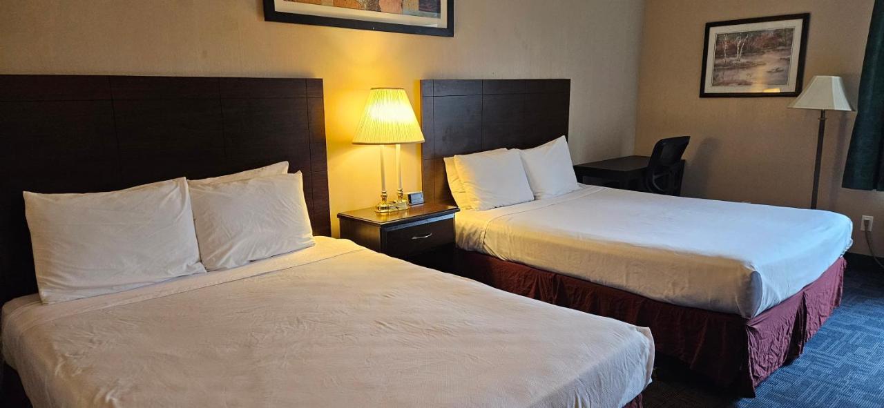 Deluxe Double Room at Bellis Inn