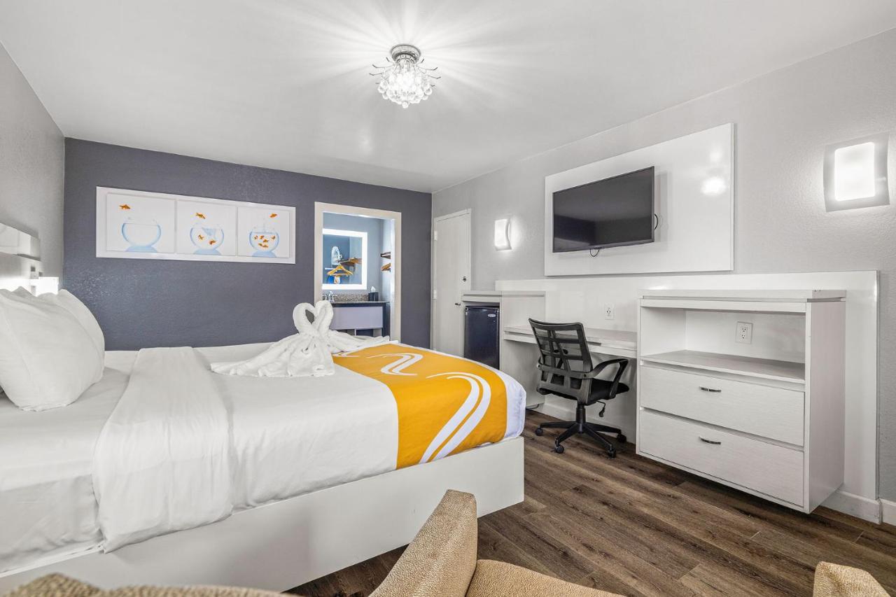 Standard King Room at Quality Inn and Conference Center Tampa-Brandon