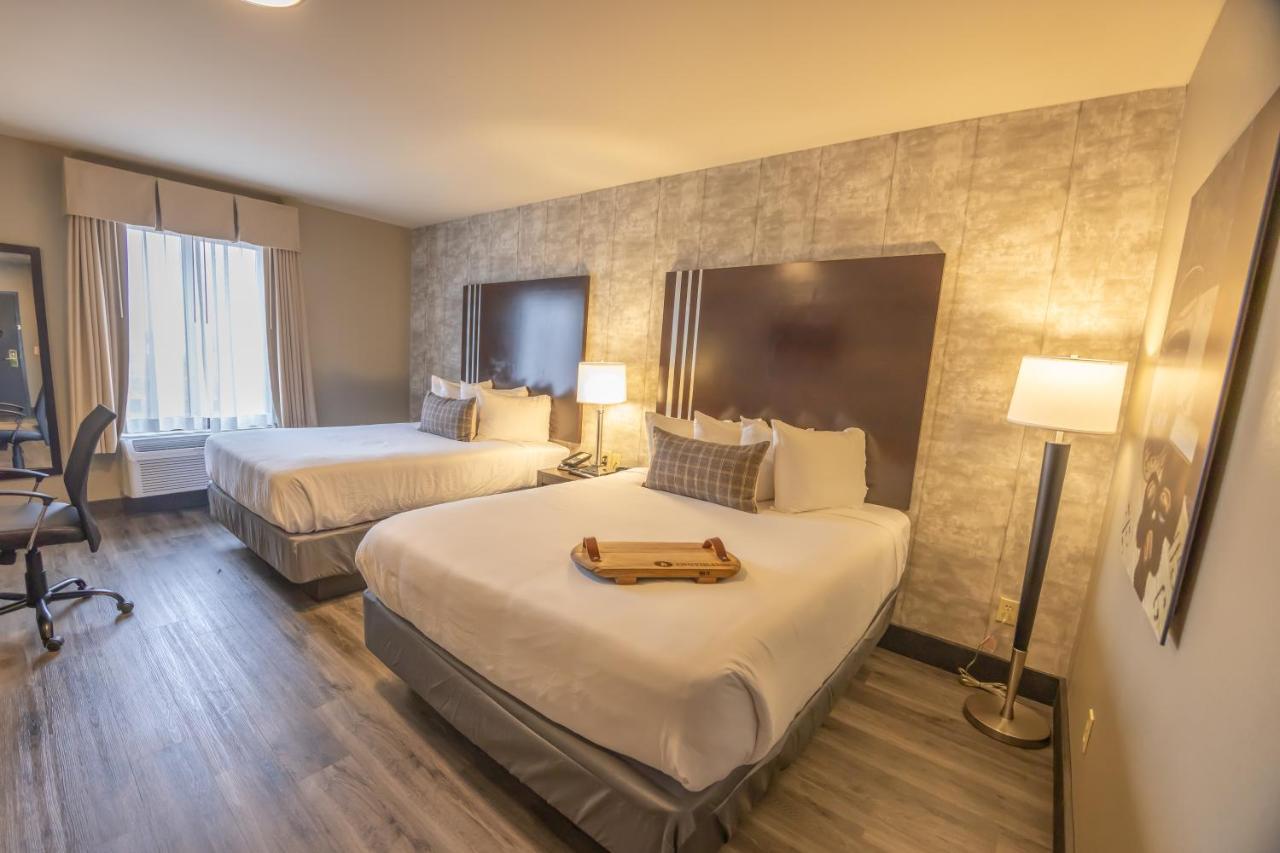 Double Room - Disability Access at Distill-Inn