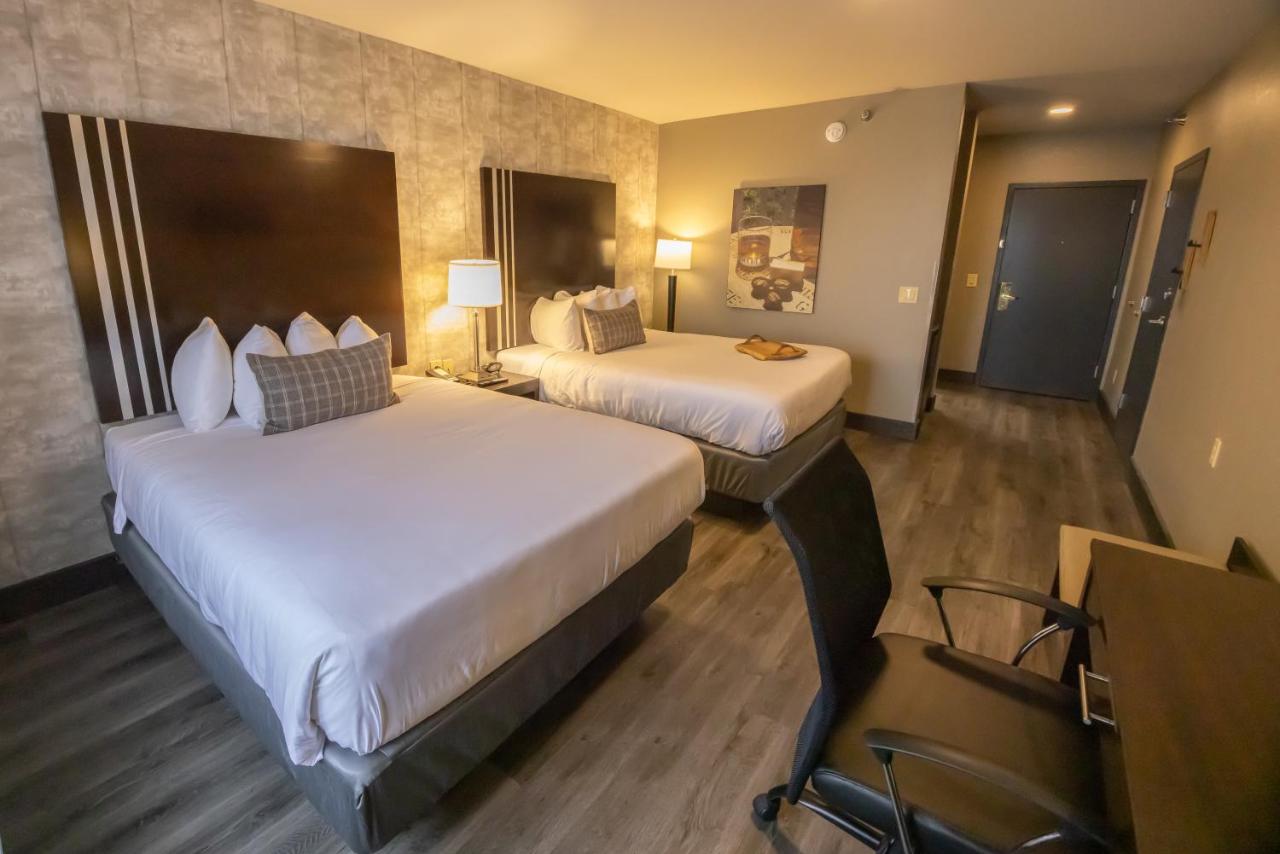 Double Room - Disability Access at Distill-Inn