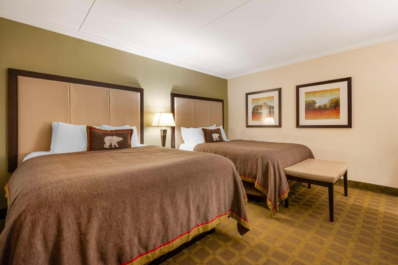 Queen Room with Two Queen Beds - Poolside at Best Western Plus White Bear Country Inn