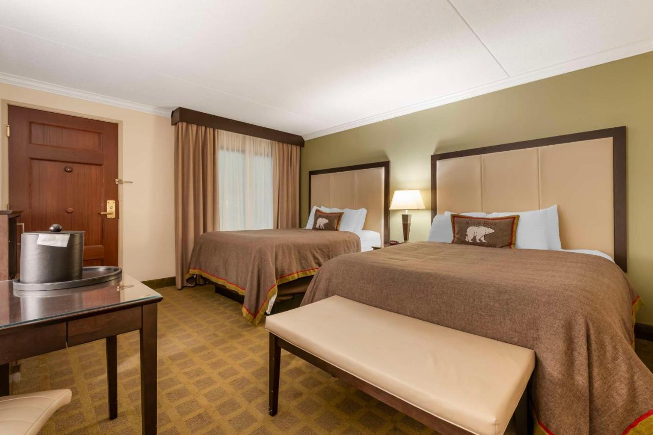 Queen Room with Two Queen Beds - Poolside at Best Western Plus White Bear Country Inn