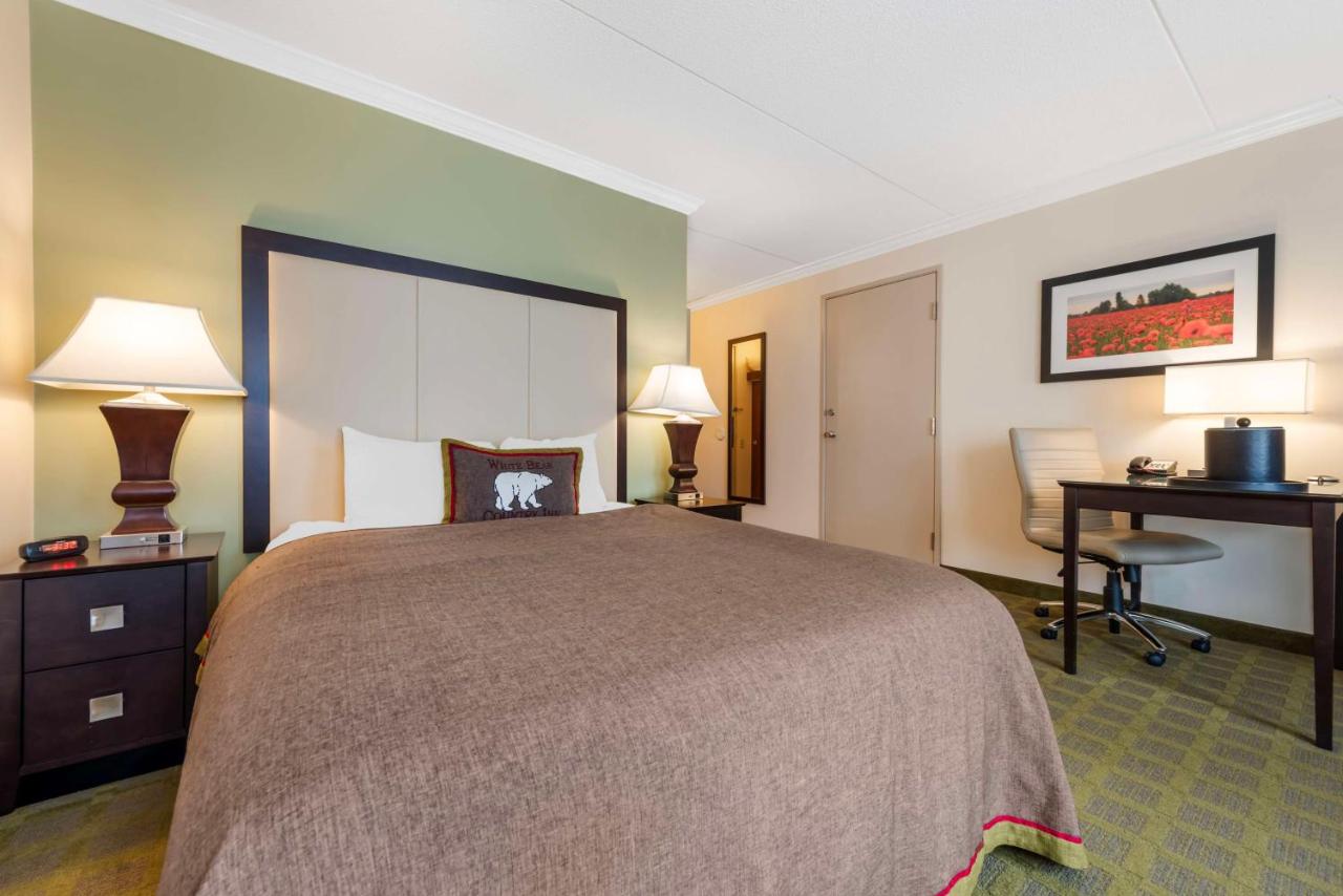 Queen Room with Roll-in Shower - Mobility Accessible at Best Western Plus White Bear Country Inn