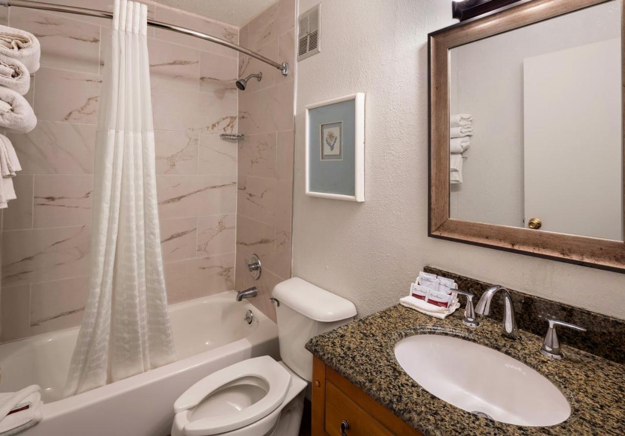 King Room - Non-Smoking at Park Inn by Radisson, Detroit Metro Airport