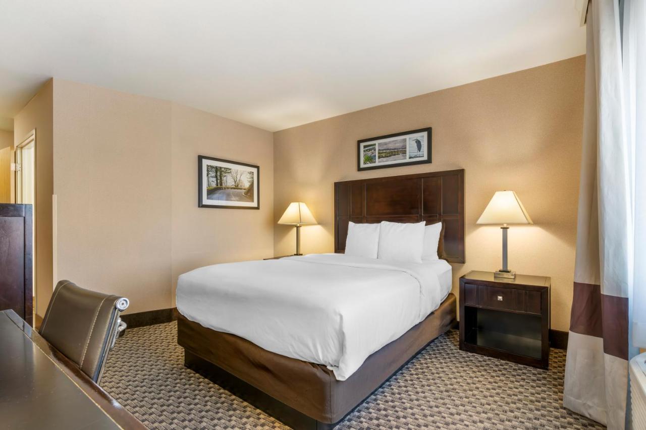 Queen Room - Accessible/Nonsmoking at Comfort Inn Troutdale - Portland East