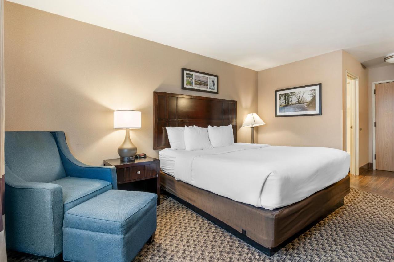 King Room - Non-Smoking at Comfort Inn Troutdale - Portland East