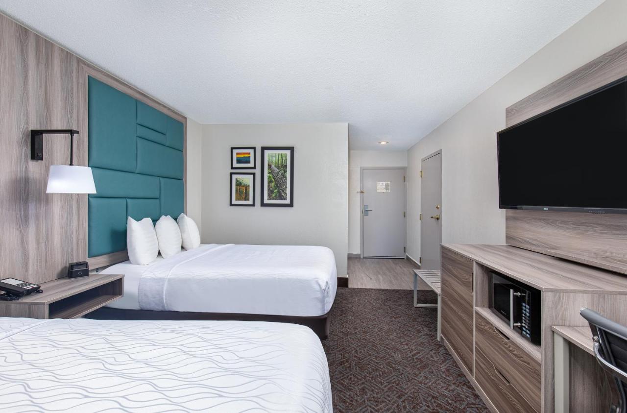 Deluxe Queen Room with Two Queen Beds - Non-Smoking at La Quinta Inn & Suites by Wyndham Pigeon Forge-Dollywood