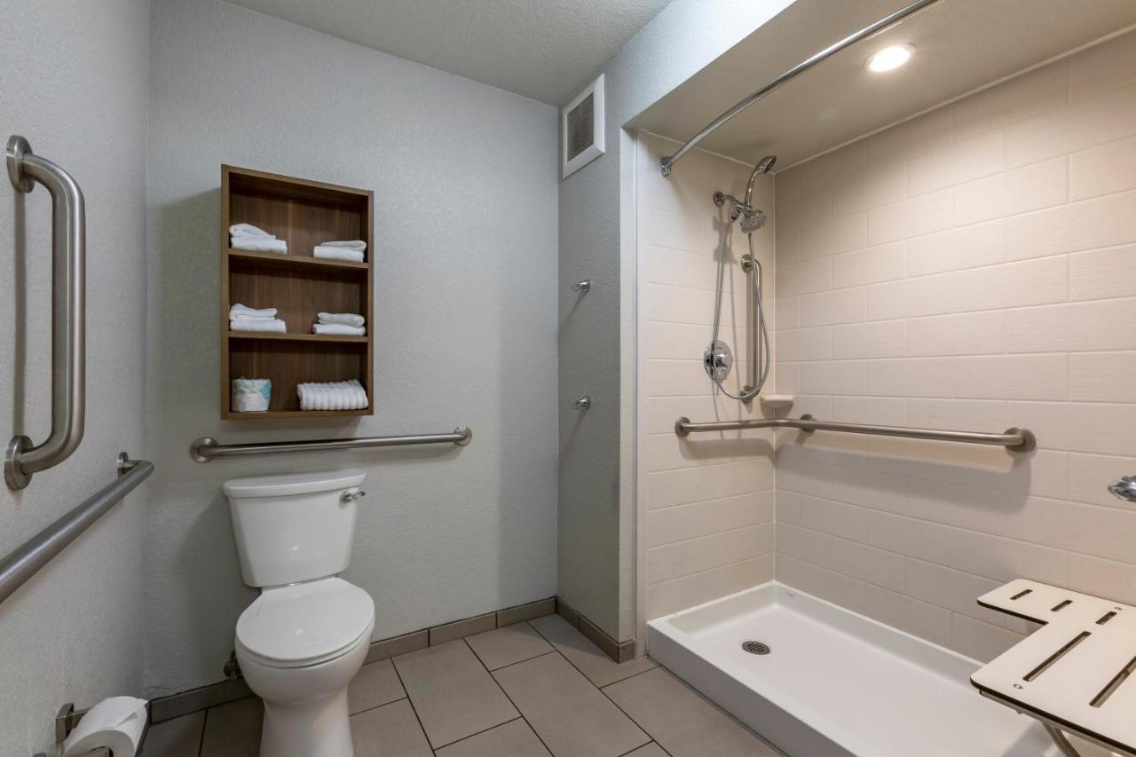 Standard King Room with Transfer Shower - Accessible/Non-Smoking at Comfort Inn & Suites Dothan Northside Plaza
