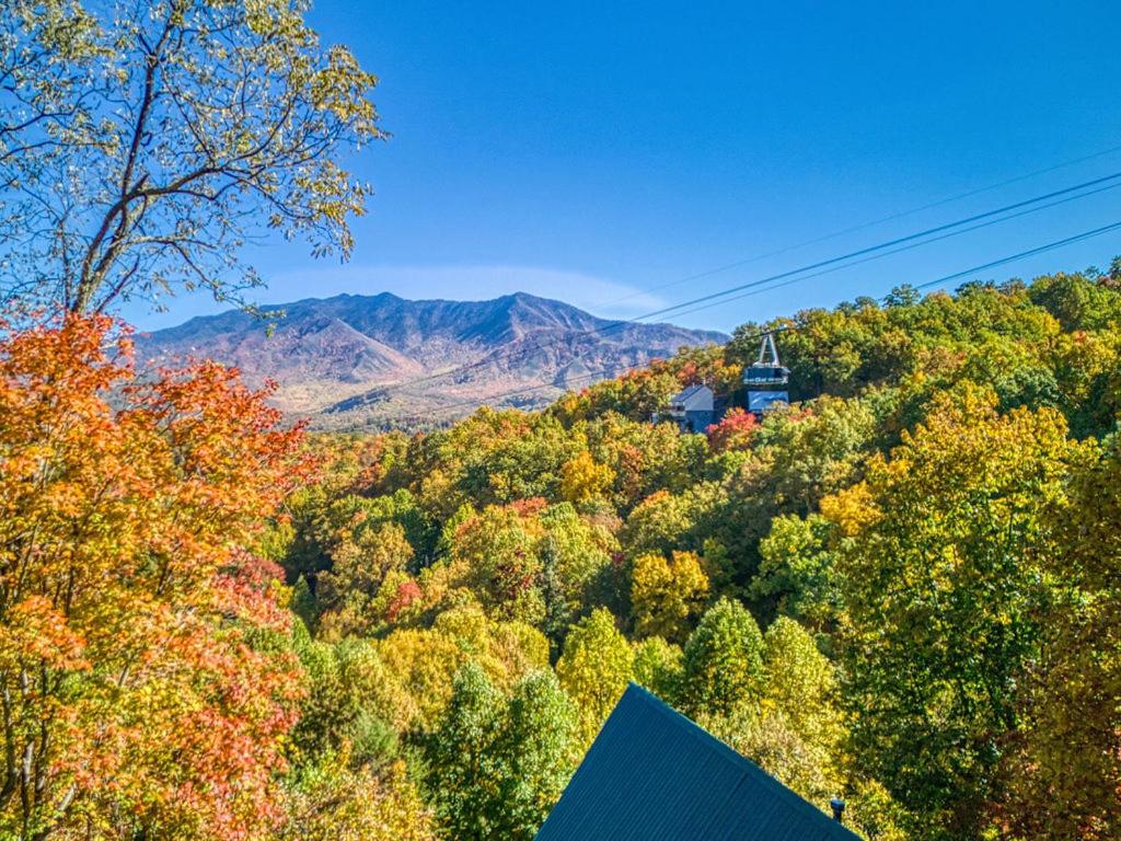 | Four Bears Den
