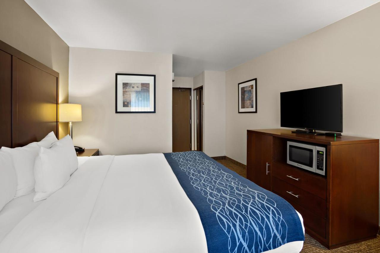 King Room - Non-Smoking at Comfort Inn Lacey - Olympia