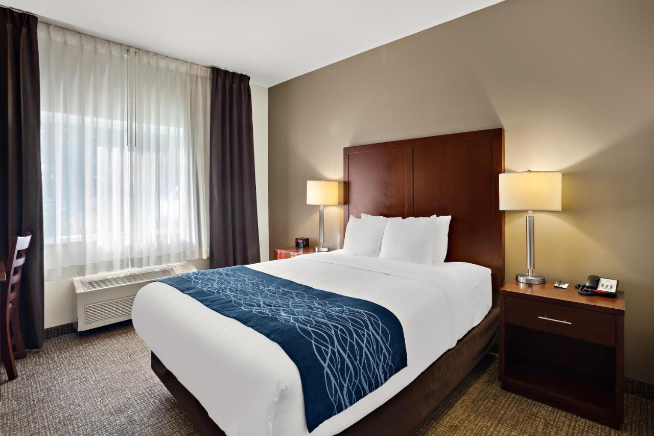Queen Room - Non-Smoking at Comfort Inn Lacey - Olympia