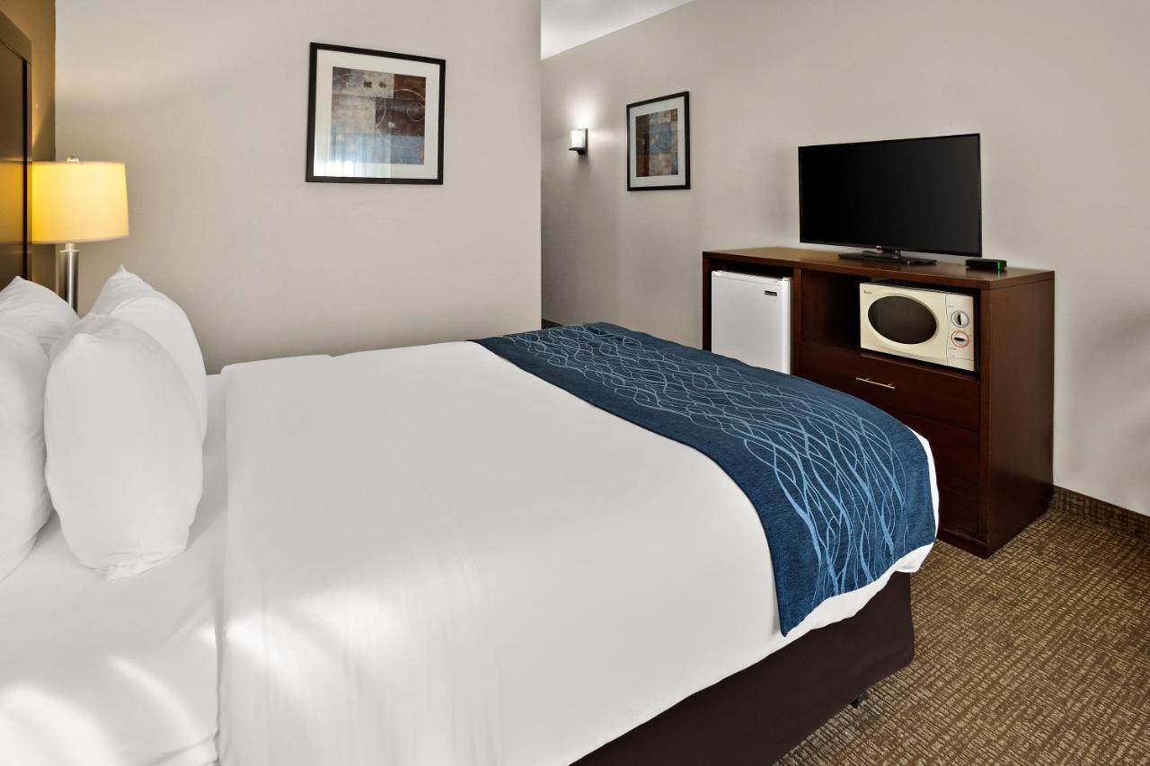 Queen Room - Non-Smoking at Comfort Inn Lacey - Olympia